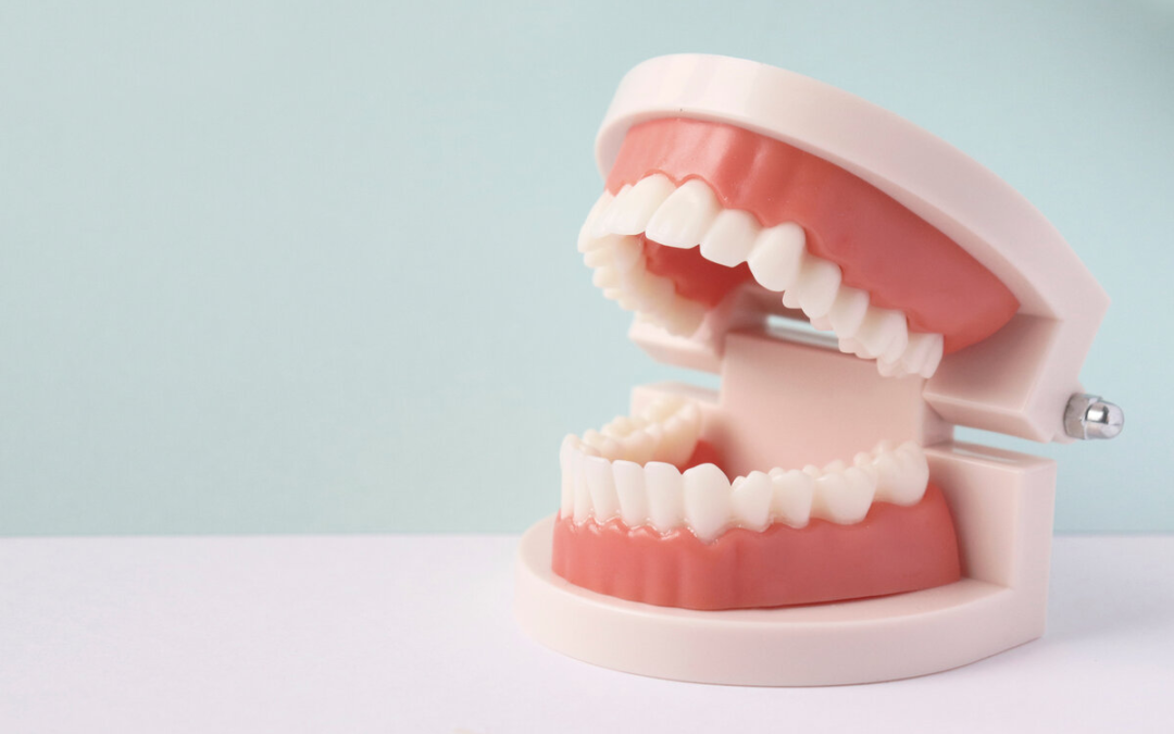 how to keep dentures from falling out sunshine coast